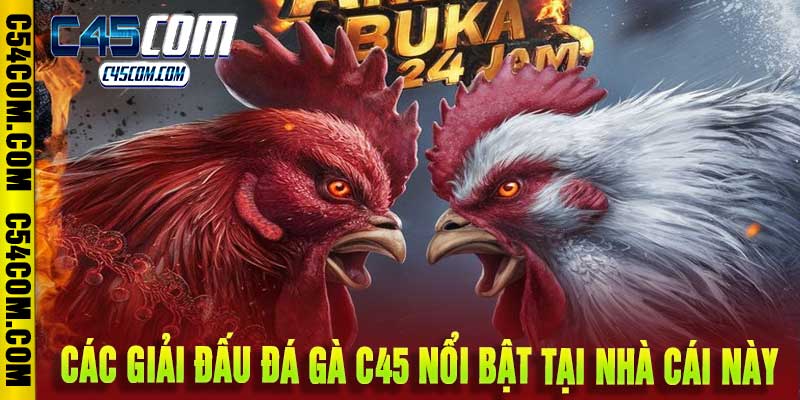 Đá Gà c45
