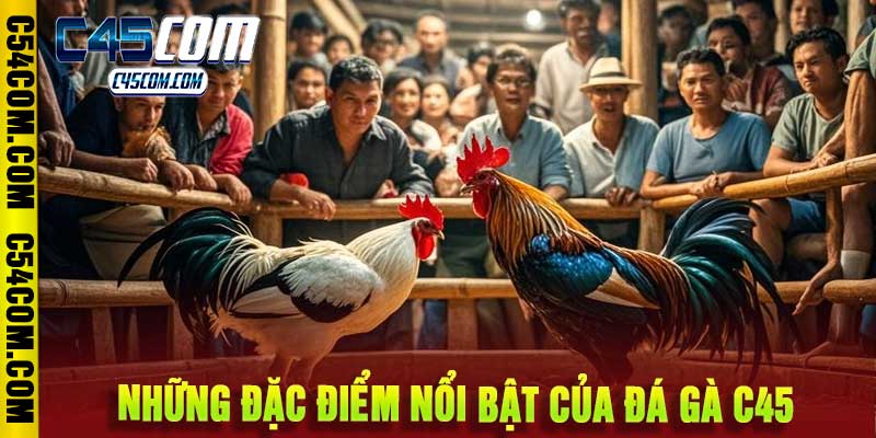 Đá Gà C45